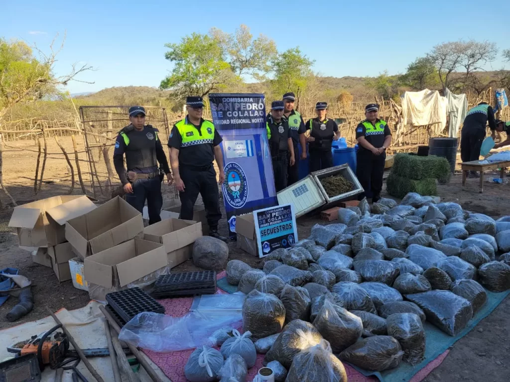 Gendarmería secuestró cubiertas por casi 6 millones Ventana del Norte